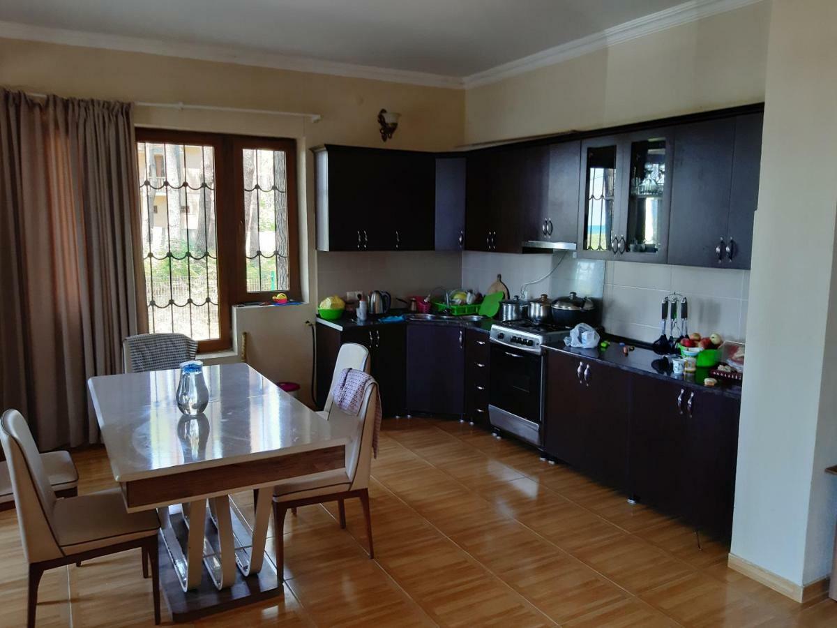 Hotel Niko Shekhvetili Bagian luar foto